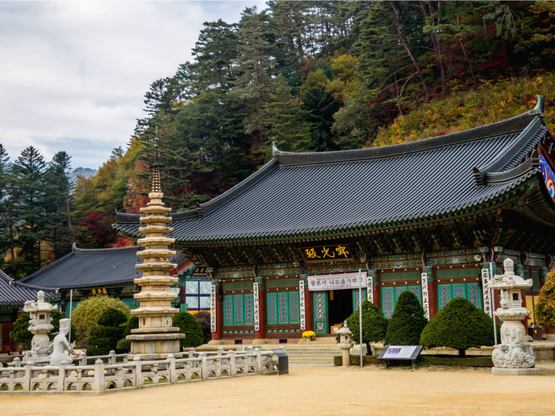 Odaesan National Park Autumn Day Trip from Seoul with Woljeongsa Temple ...