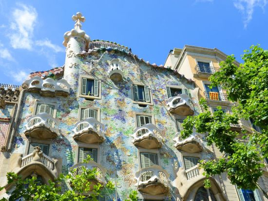 バルセロナ半日ウォーキングツアー　カサ・バトリョまたはカサ・ミラ入場付きプランあり ＜貸切／午前・午後／日本語ガイド＞by Mybus