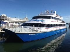 Reef-Magic-III-in-Marina