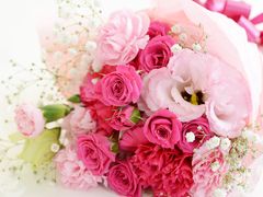 shutterstock_643461607-crop