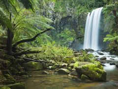 Australia_Melbourne_Great_Ocean_Road_Ntnl_Park_shutterstock_303197372