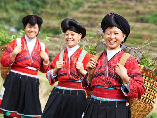 世界の棚田の冠！龍脊棚田＋ヤオ族の部落訪問付き 1日観光ツアー＜貸切チャーター／日本語ガイド／昼食付き／桂林発＞