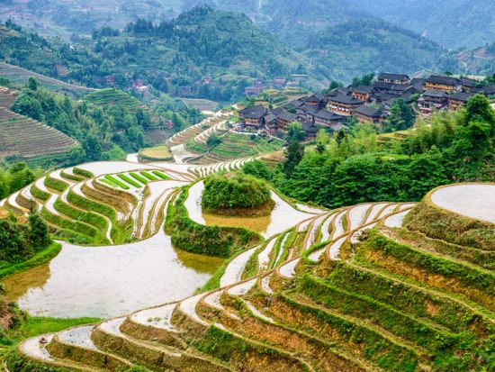世界の棚田の冠！龍脊棚田＋ヤオ族の部落訪問付き 1日観光ツアー＜貸切チャーター／日本語ガイド／昼食付き／桂林発＞