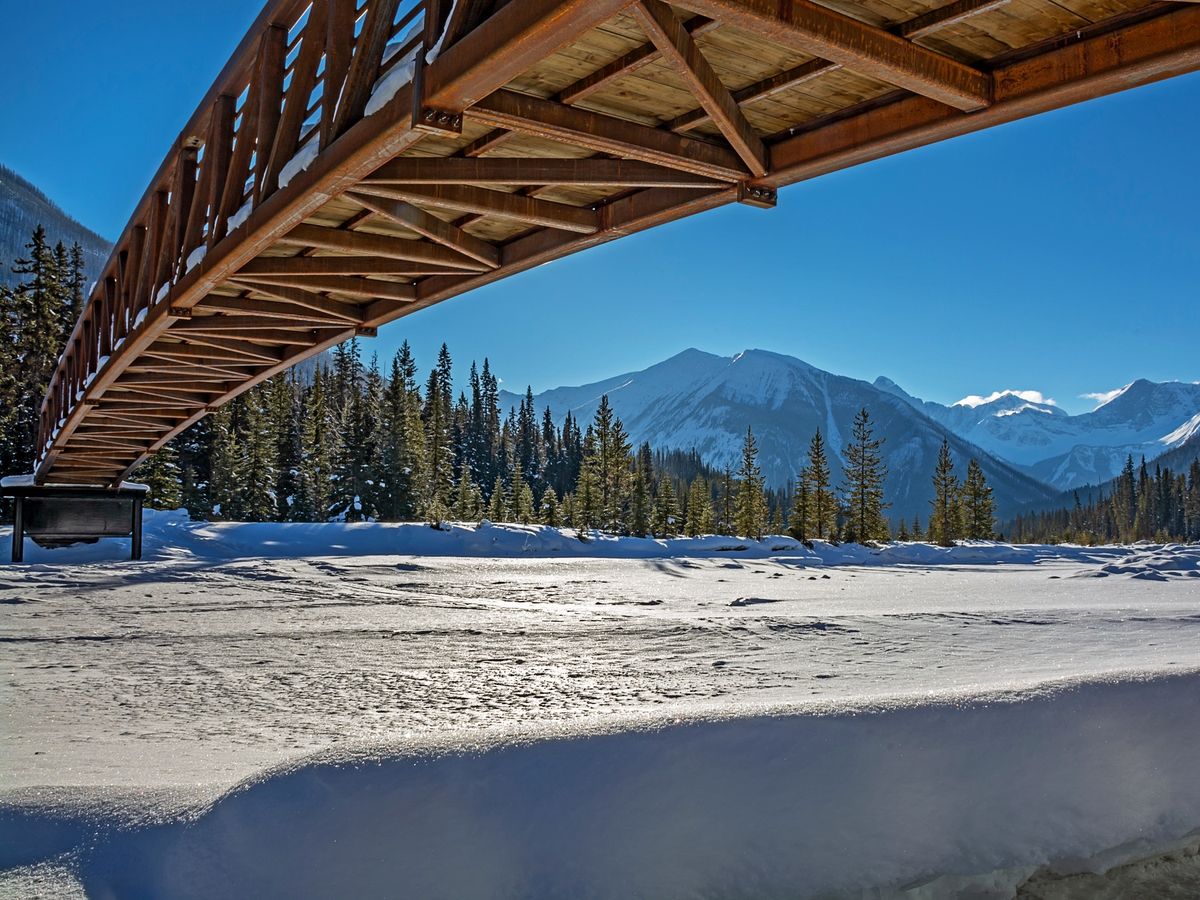 Paint Pots Snowshoeing Guided Tour with Maple Taffy Treat tours