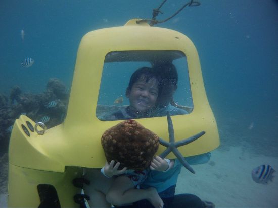 潜水スクーター 泳げなくても大丈夫！カラフルな魚に餌付けしながら海中ドライブを楽しもう＜3歳～80歳まで参加可能／名護市＞