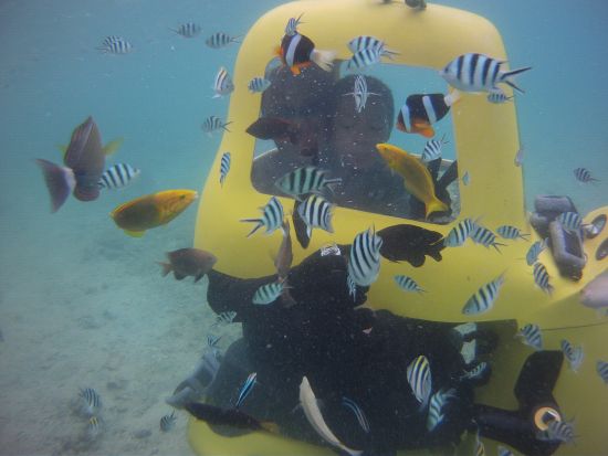 潜水スクーター 泳げなくても大丈夫！カラフルな魚に餌付けしながら海中ドライブを楽しもう＜3歳～80歳まで参加可能／名護市＞