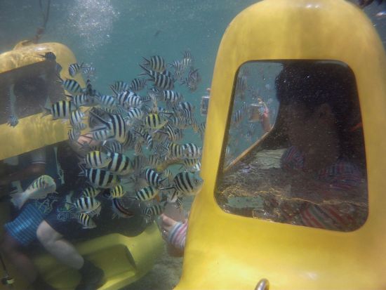 潜水スクーター 泳げなくても大丈夫！カラフルな魚に餌付けしながら海中ドライブを楽しもう＜3歳～80歳まで参加可能／名護市＞