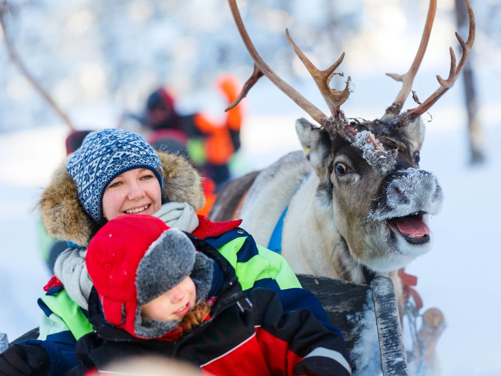 Finland Northern Lights Tour by Reindeer Sleigh Ride from Saariselka ...