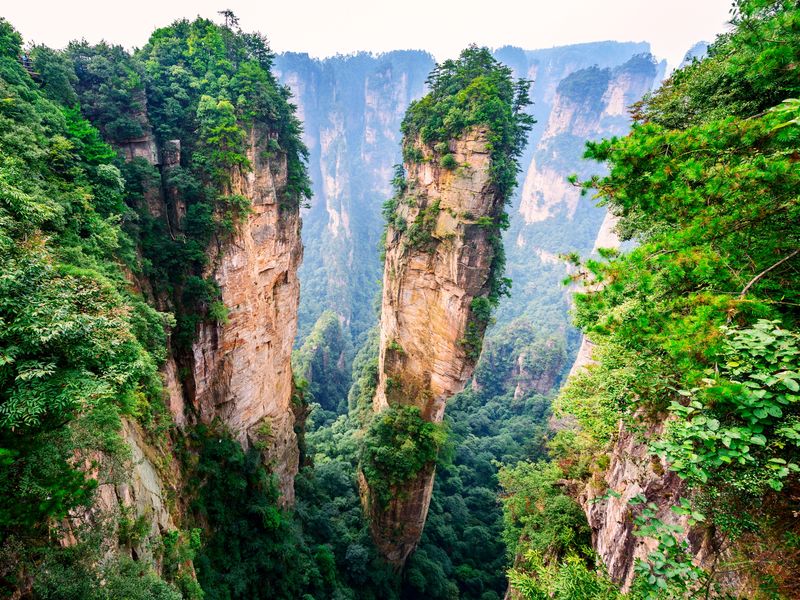 shutterstock_796873756