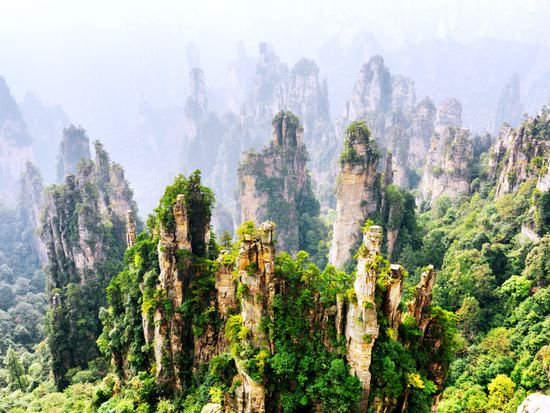 shutterstock_393226150