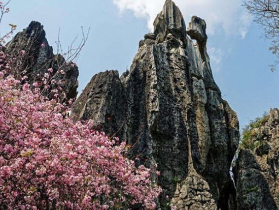 世界遺産 石林風景名勝区 半日観光ツアー＜貸切チャーター／日本語ガイド／昆明発＞