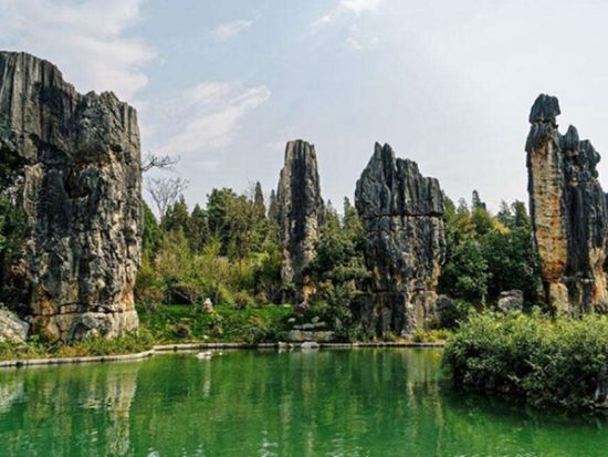 世界遺産 石林風景名勝区 半日観光ツアー＜貸切チャーター／日本語ガイド／昆明発＞