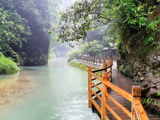 shutterstock_1131377138