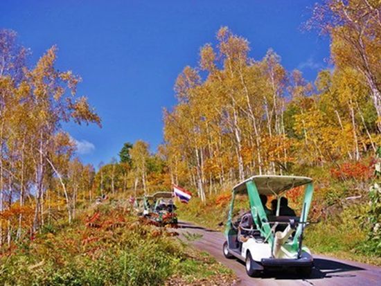 Ride on automatic carts through the autumn forest