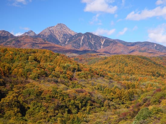 Fall Foliage Tour of Yatsugatake Mountains from Tokyo with Grape ...