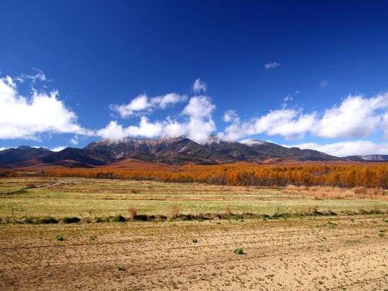 "The Golden Carpet" during the fall