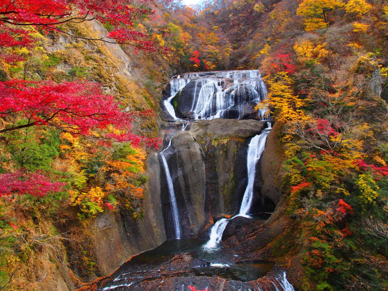 Fall foliage surrounding Fukuroda Falls