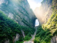 shutterstock_1142063339