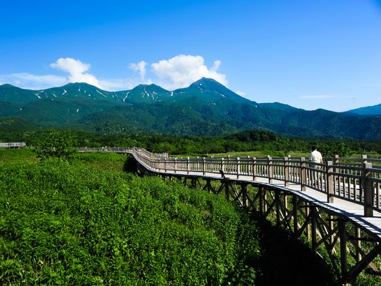 shutterstock_450103969