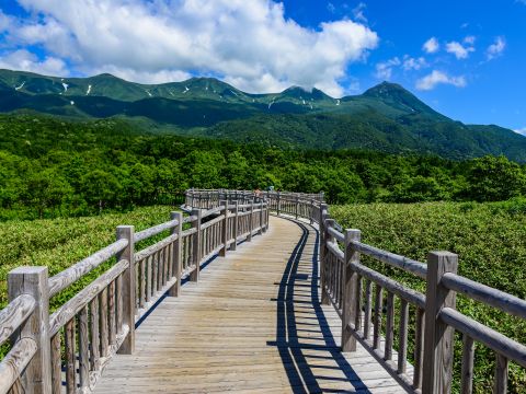 知床五湖ウォーキングツアー 五湖一周を経験15年以上のガイドと歩こう！＜4～11月／午前／斜里町発＞byオホーツク自然堂