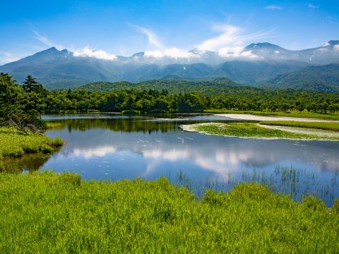知床五湖ウォーキングツアー 五湖一周を経験15年以上のガイドと歩こう！＜4～11月／午前／斜里町発＞byオホーツク自然堂