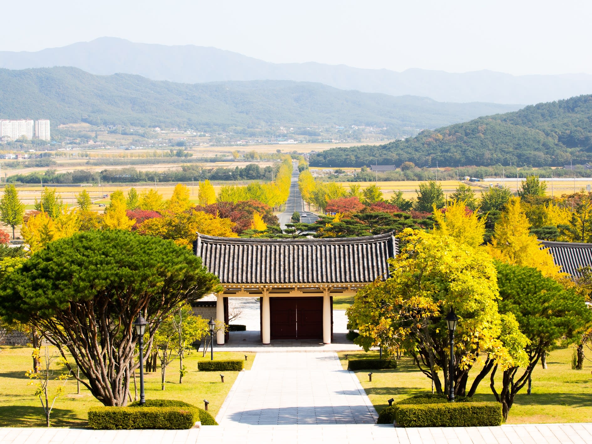 The Best Busan Autumn Foliage Spots Full Day Customized Tour Tours