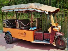 TUKTUK2_(2)-crop