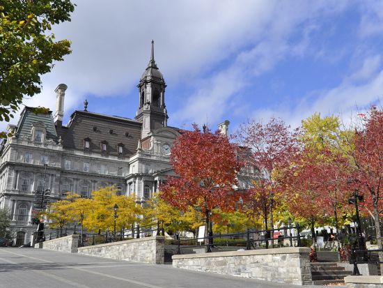モントリオール市内観光ツアー　ジャックカルティエ広場＆ノートルダム大聖堂＆モンロワイヤル公園＆セント・ジョセフ礼拝堂 ＜日本語ガイド＞