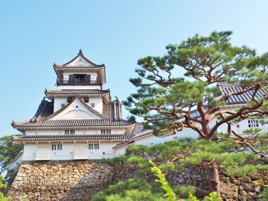 貸切「板垣退助」ツアー　板垣退助像 (高知城)＋自由民権記念館＋板垣退助誕生地の碑＋板垣退助の墓＜3時間／選べる出発時間／空港送迎可／高知市発＞