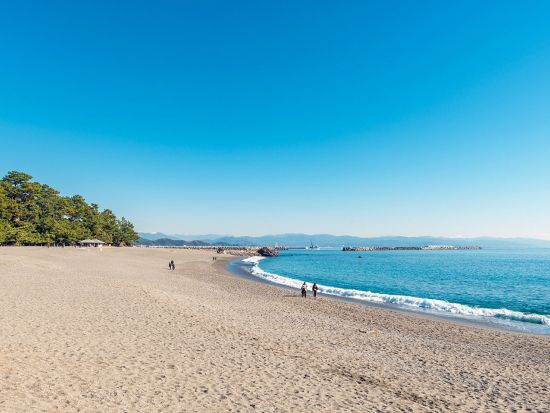 貸切「坂本龍馬」ツアー　桂浜＋坂本龍馬記念館＋和霊神社＋日根野道場＋誕生地の碑　土佐の英雄ゆかりの地＜3時間／選べる出発時間／空港送迎可／高知市発＞