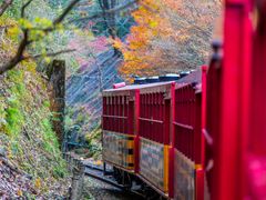 Japan_Kyoto_Sagano_Railway_shutterstock_763969078
