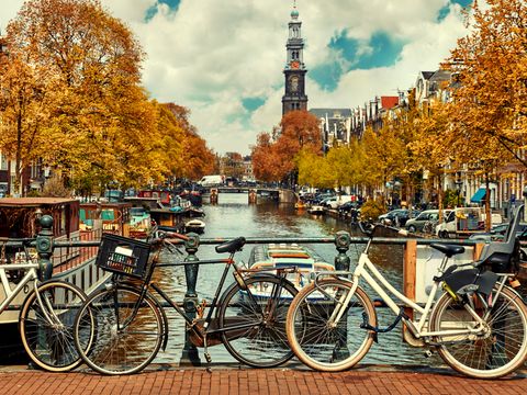 belgium tours activities fun