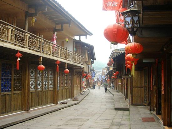 【貸切チャーター】雅安 日帰り観光ツアー 碧峰峡パンダ研究センターと上里古鎮散策＜日本語ガイド／昼食付き／成都発＞