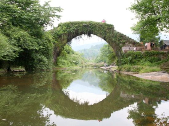 【貸切チャーター】雅安 日帰り観光ツアー 碧峰峡パンダ研究センターと上里古鎮散策＜日本語ガイド／昼食付き／成都発＞