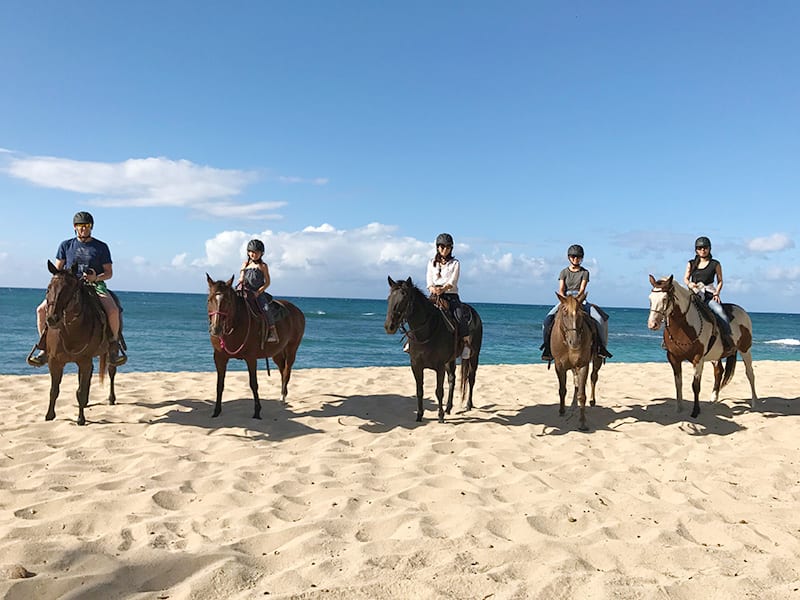 USA_Hawaii_North-Shore-Oahu_Horseback-Day-Ride