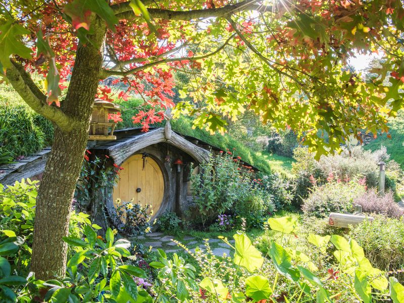 hobbiton tour