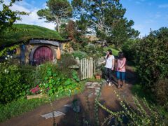 hobbiton tour from rotorua