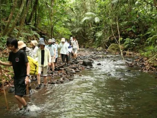 ガラスマオの滝ジャングルトレッキング 半日ツアー＜午前または午後／送迎付き＞by IMPAC TOURS