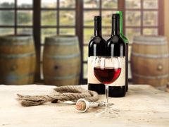 Kumeu Wine Country