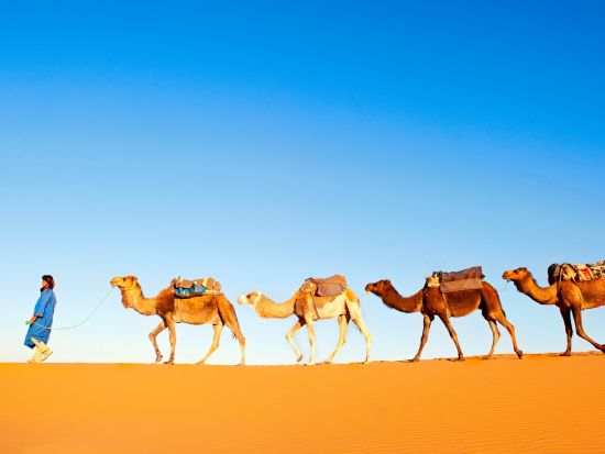 【ワルザザート発 モロッコ1泊2日】砂漠でテント泊！ティンフー砂丘＆ラクダ乗り体験＋陶器の町タムグルート＜英語＞