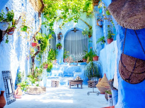 1泊2日 青い街シャウエン観光ツアー＜フェズまたはカサブランカ発フェズ着／英語＞