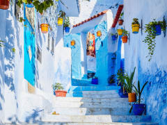青い町シャウエン (フェズ発　日帰りツアー) | モロッコの観光・オプショナルツアー専門 VELTRA(ベルトラ)
