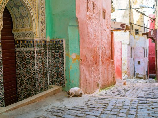 【カサブランカ発 モロッコ周遊 5泊6日】青い街シャウエン＋ヴォリビリス＋世界遺産メクネス＋フェズ＋マラケシュ＜英語／空港発着OK＞