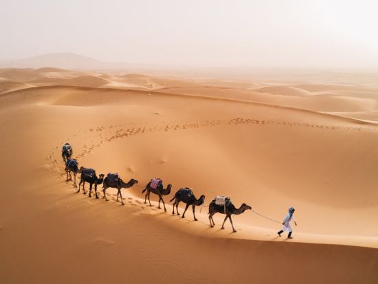2泊3日 モロッコ周遊ツアー フェズほか5か所観光＜マラケシュ発フェズまたはカサブランカ着／英語＞
