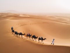 shutterstock_657707956