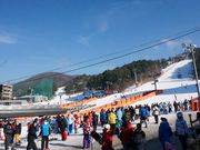 bears town ski resort