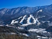 Bears Town Ski Resort