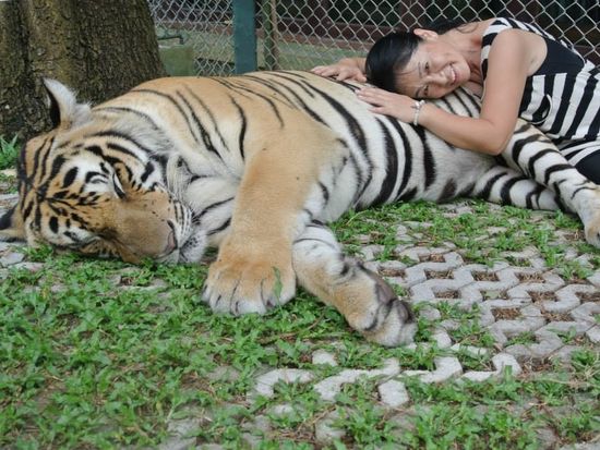 996531_683859401628511_1859331007_n-crop