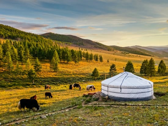 Mongolia_valley_shutterstock_600892928