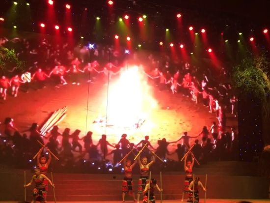 「チャーミングショー」とベトナム料理の夕食＜送迎付き／日本語ガイド＞